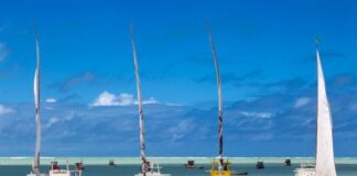 Praias Secretas do Nordeste: Paraísos Escondidos Praias Secretas do Nordeste