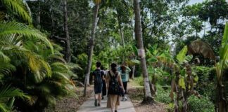 Turismo Sustentável: Guia para Viajar de Forma Responsável Turismo sustentável