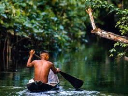 As Maravilhas Naturais da Amazônia: Guia de Turismo Ecológico Amazônia