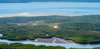 Roteiro de 10 Dias na Guiné-Bissau: Uma Aventura Inesquecível Roteiro de 10 Dias na Guiné-Bissau