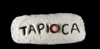 Tapioca: Um Ícone da Gastronomia Brasileira Tapioca