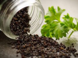 Pimentón: el Condimento Vital de España Pimentón