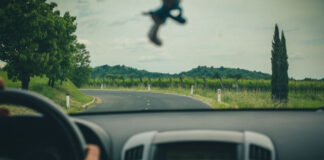Vinícolas: Rotas de Carro por Portugal, França, Itália e Espanha Vinícolas