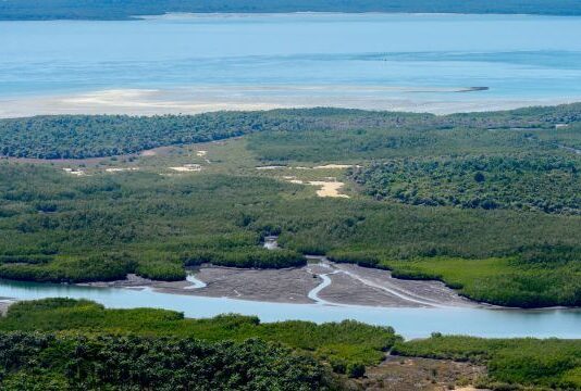 Roteiro de 10 Dias na Guiné-Bissau: Uma Aventura Inesquecível Roteiro de 10 Dias na Guiné-Bissau